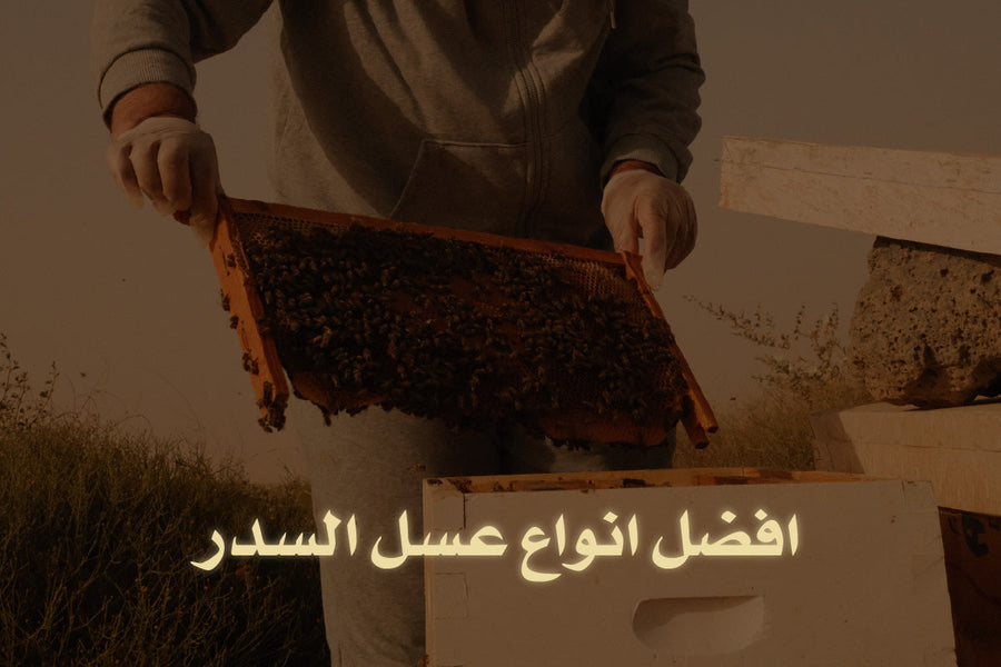 افضل انواع عسل السدر