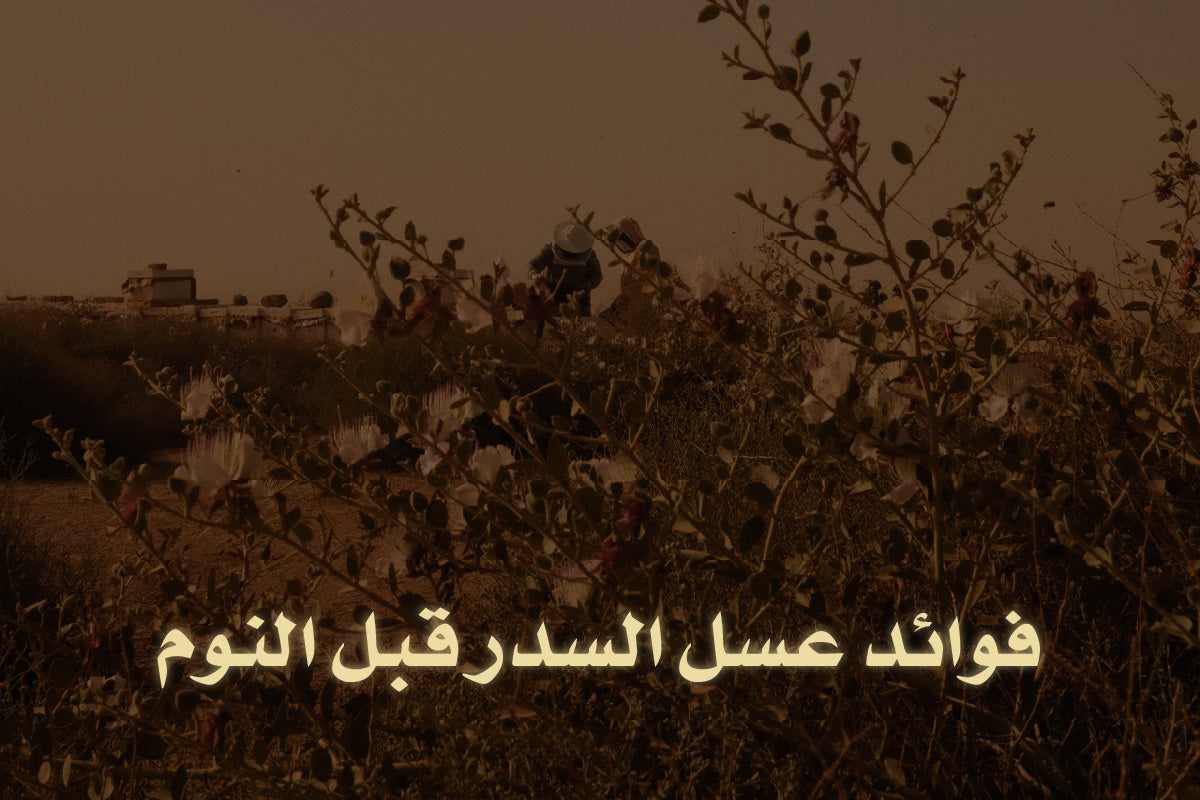 فوائد عسل السدر قبل النوم