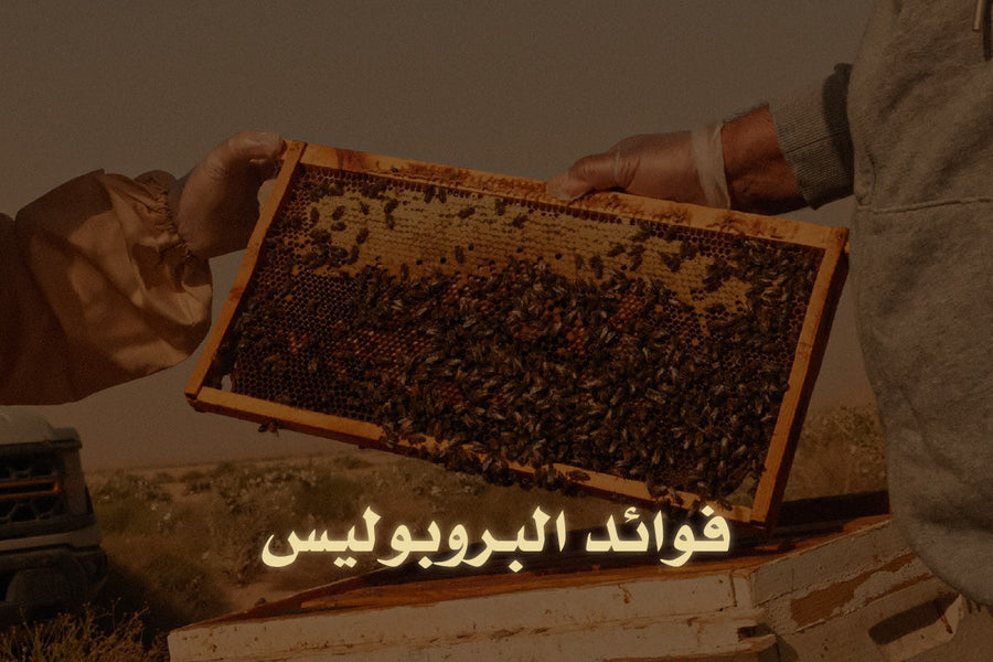 فوائد البروبوليس للصحة - 5 فوائد رح تغير حياتك