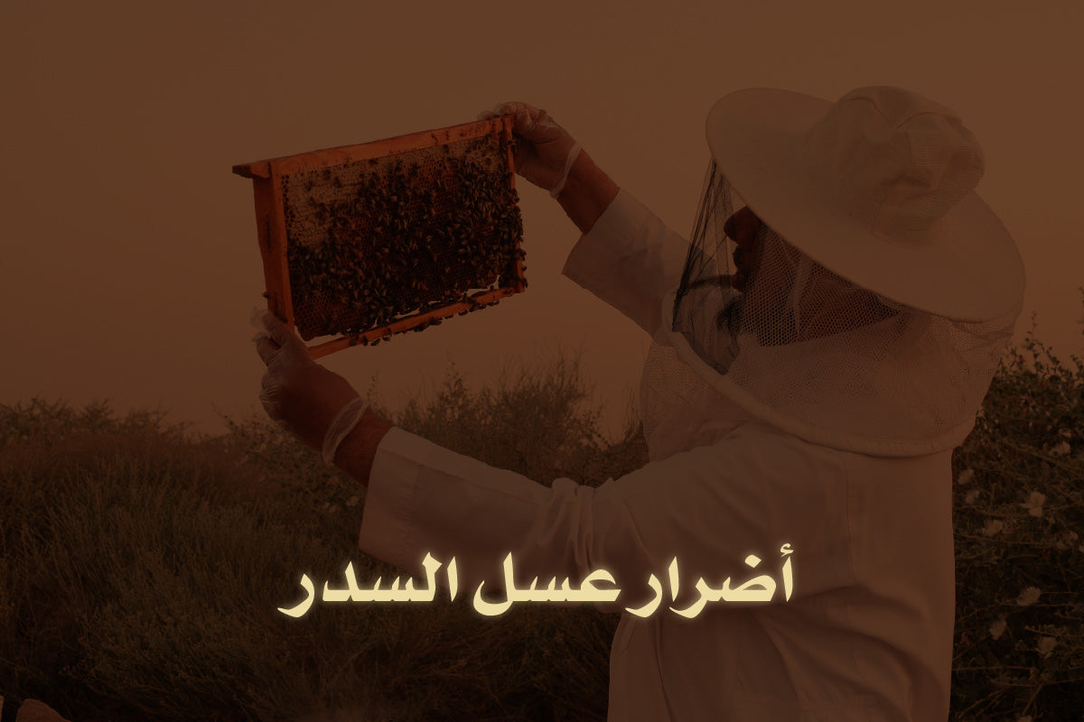 أضرار عسل السدر