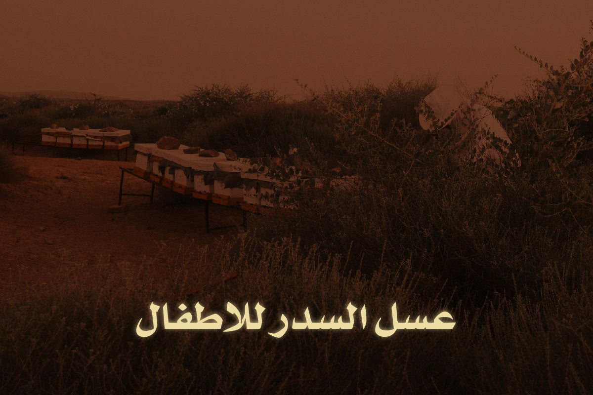 فوائد عسل السدر للاطفال