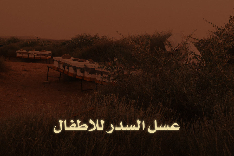 فوائد عسل السدر للاطفال
