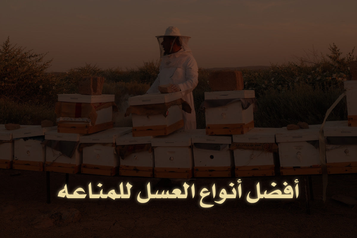 أفضل أنواع العسل للمناعه
