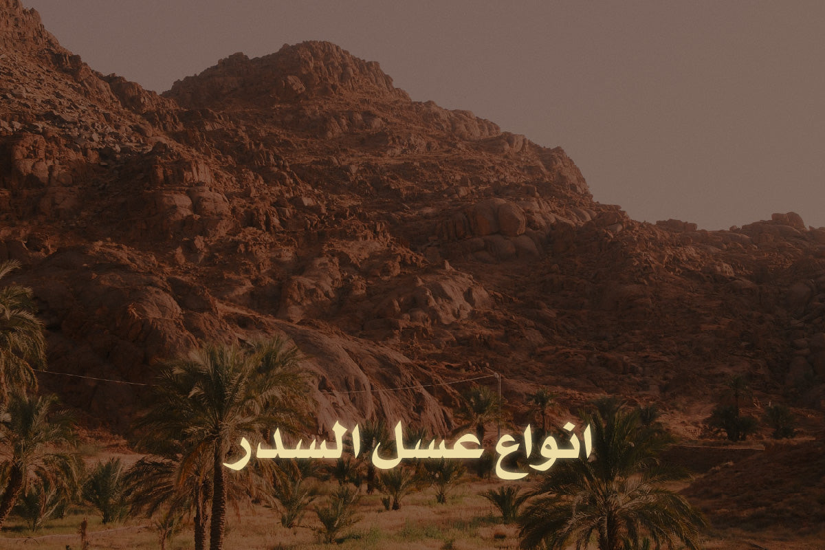 أنواع عسل السدر المختلفة