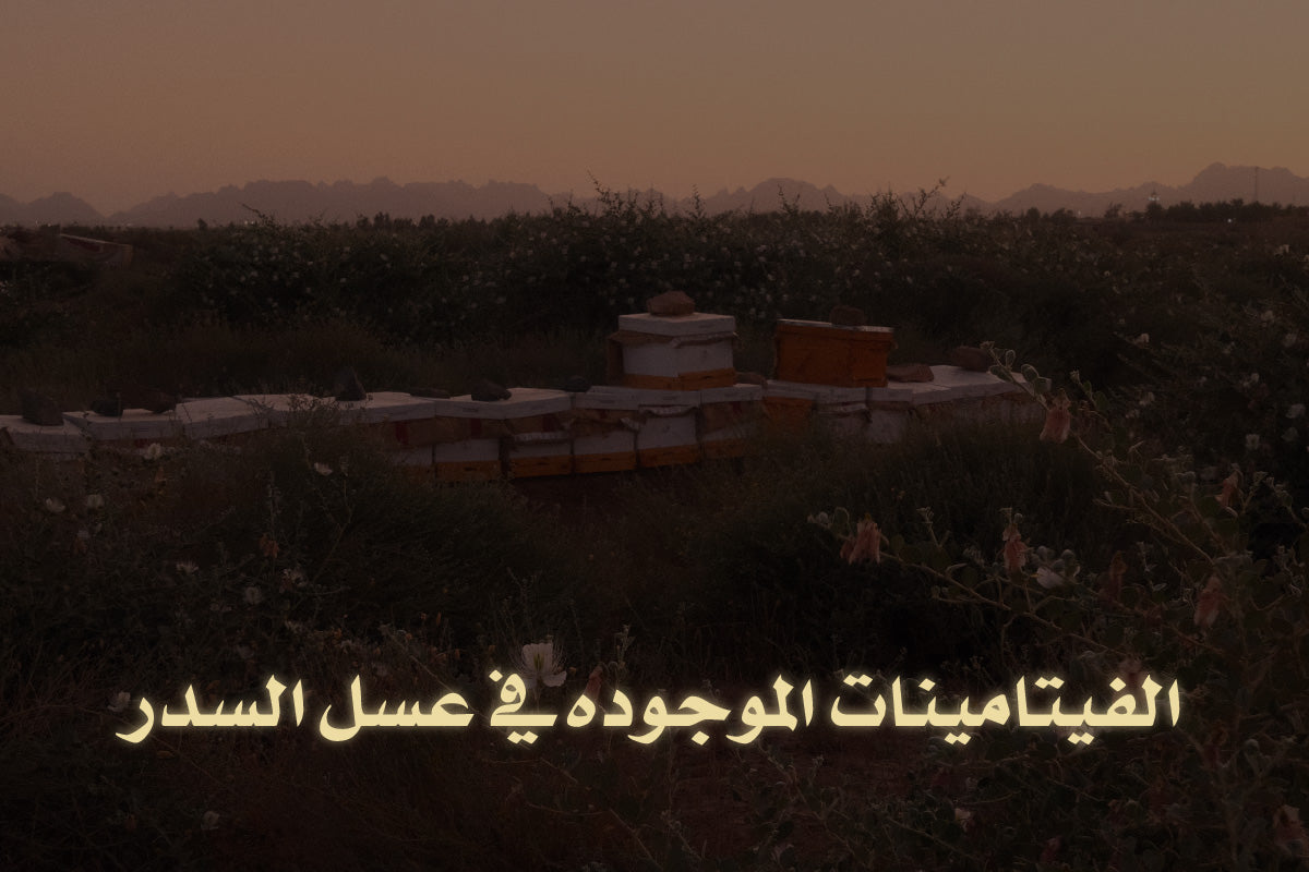 الفيتامينات الموجوده في عسل السدر