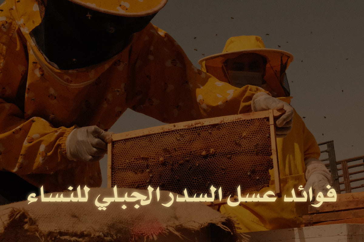 فوائد عسل السدر الجبلي للنساء