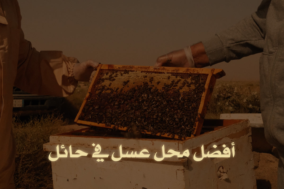 أفضل محل عسل في حائل