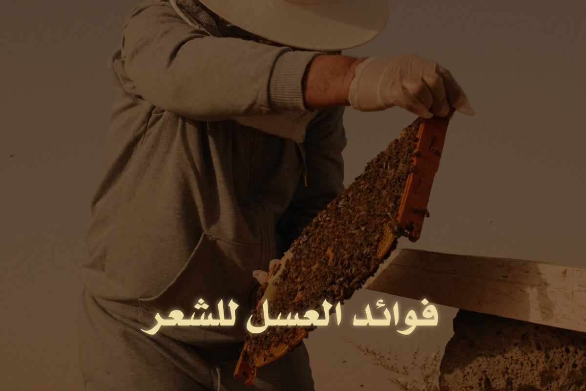 فوائد العسل للشعر