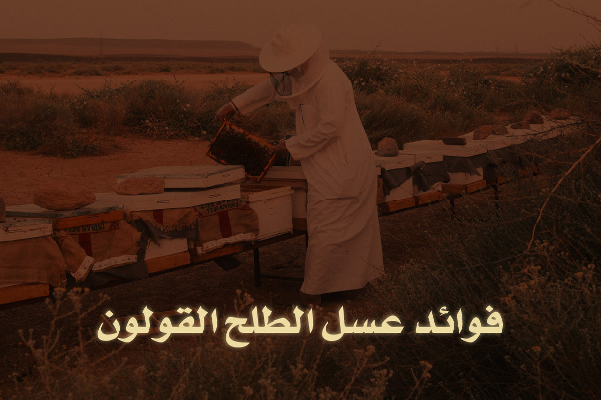 فوائد عسل الطلح القولون - دليل شامل عن الفوائد الصحية