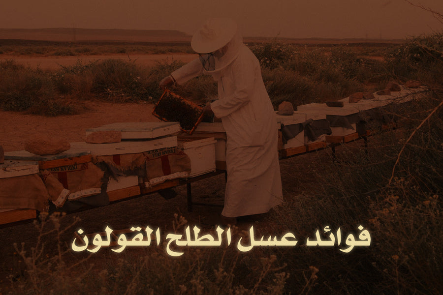 فوائد عسل الطلح القولون - دليل شامل عن الفوائد الصحية