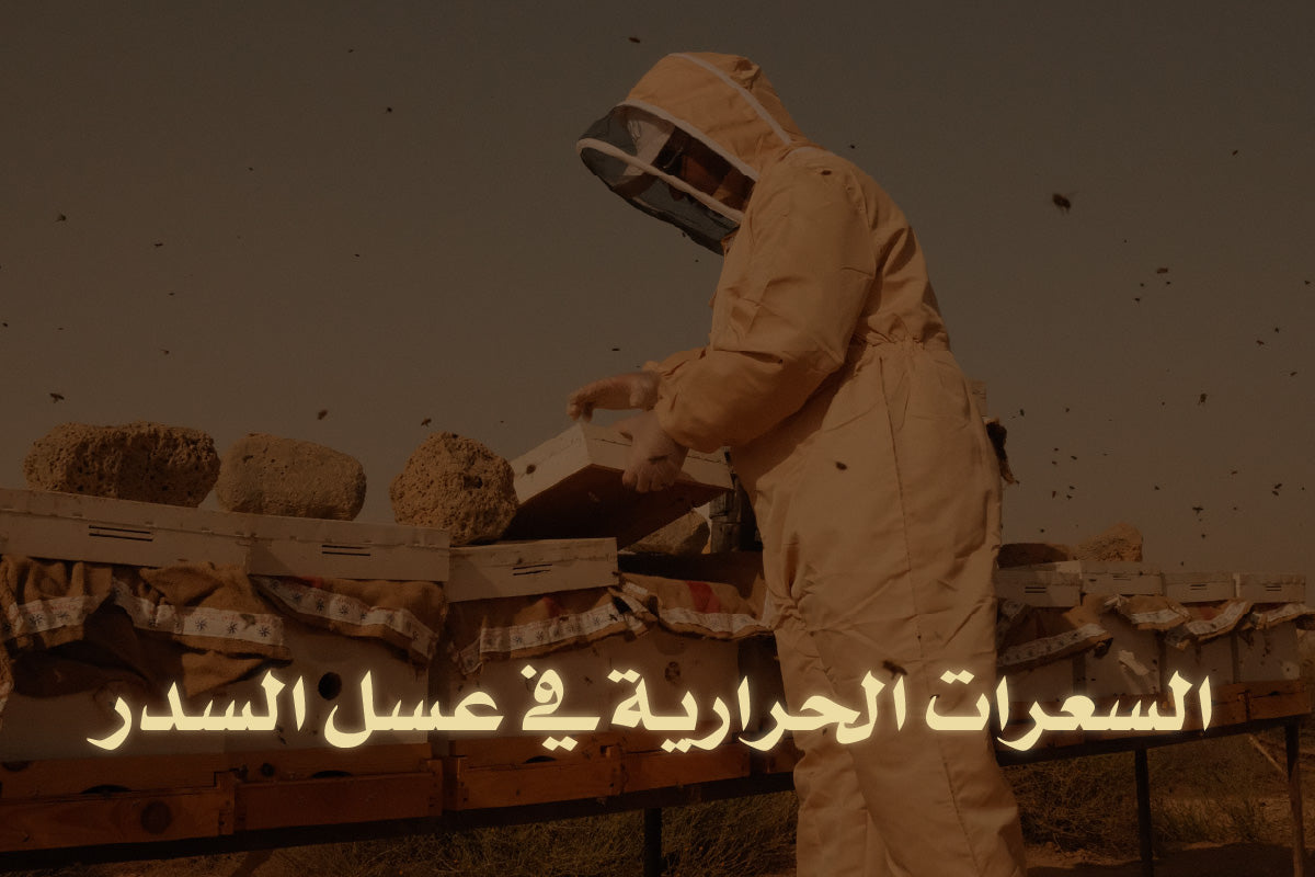 السعرات الحرارية في عسل السدر - الإجابة بعد البحث والدراسات