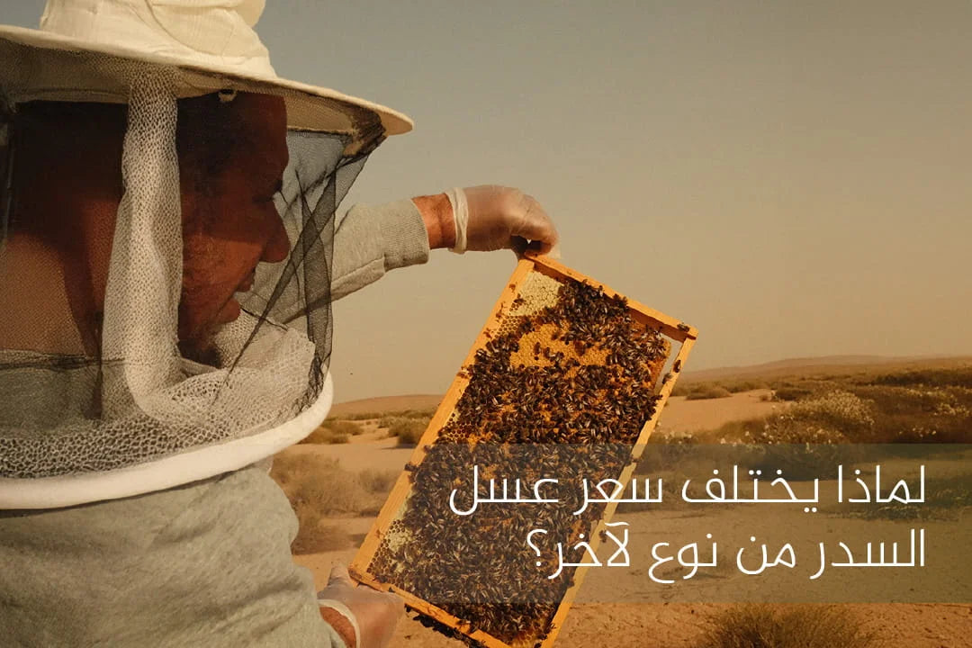 لماذا يختلف سعر عسل السدر من نوع لآخر؟