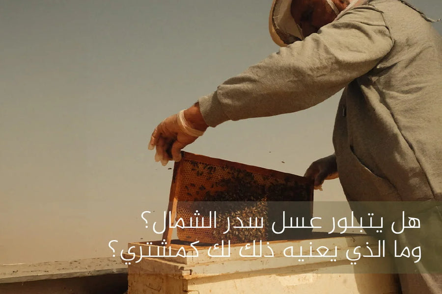 كيف تختار عسل السدر الأصلي