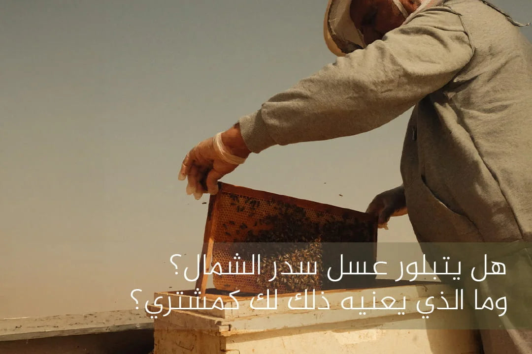 هل يتبلور عسل السدر