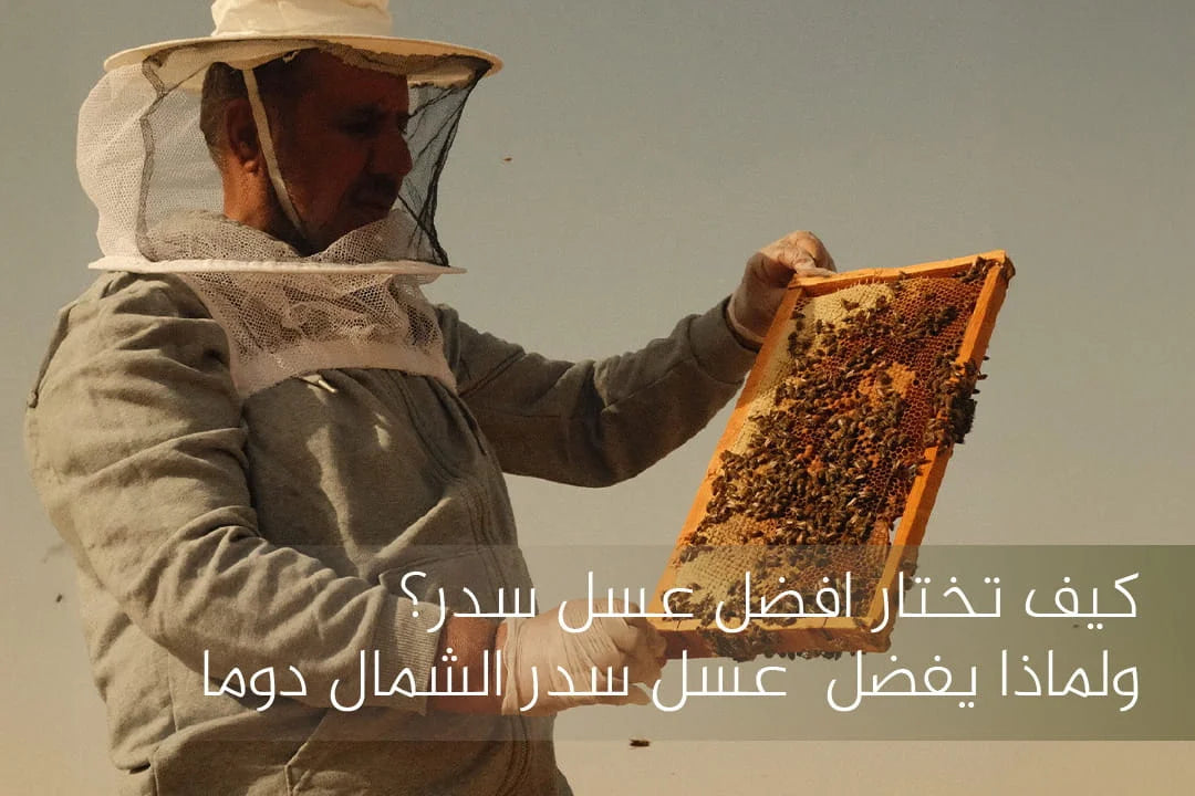 كيف تختار افضل عسل سدر؟