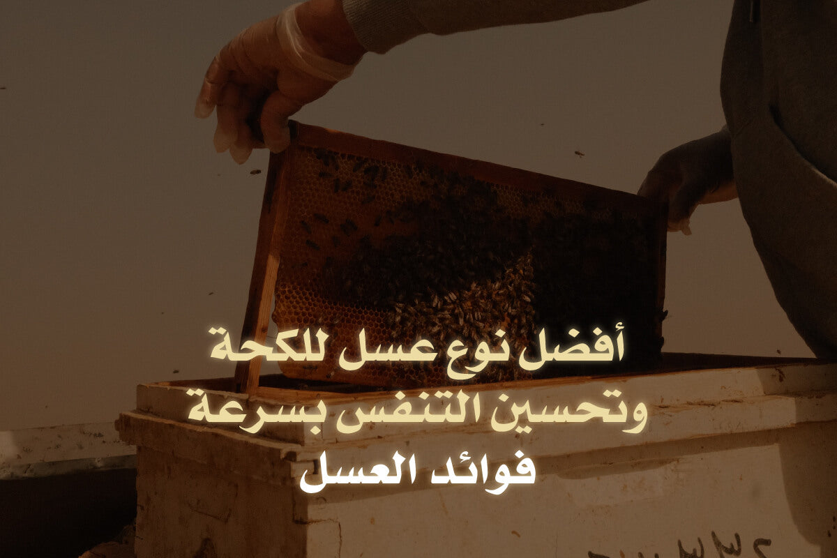أفضل نوع عسل للكحة وتحسين التنفس بسرعة | فوائد العسل
