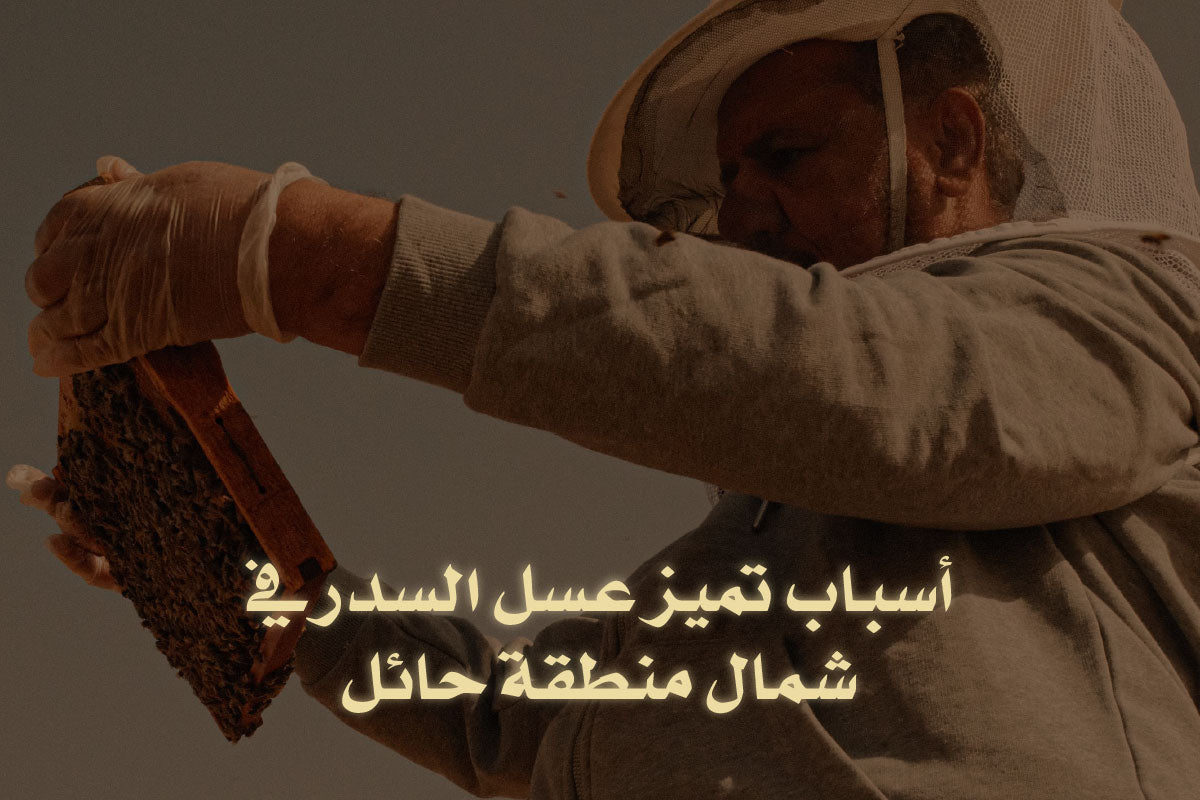 عسل السدر المنتج من شمال منطقة حائل