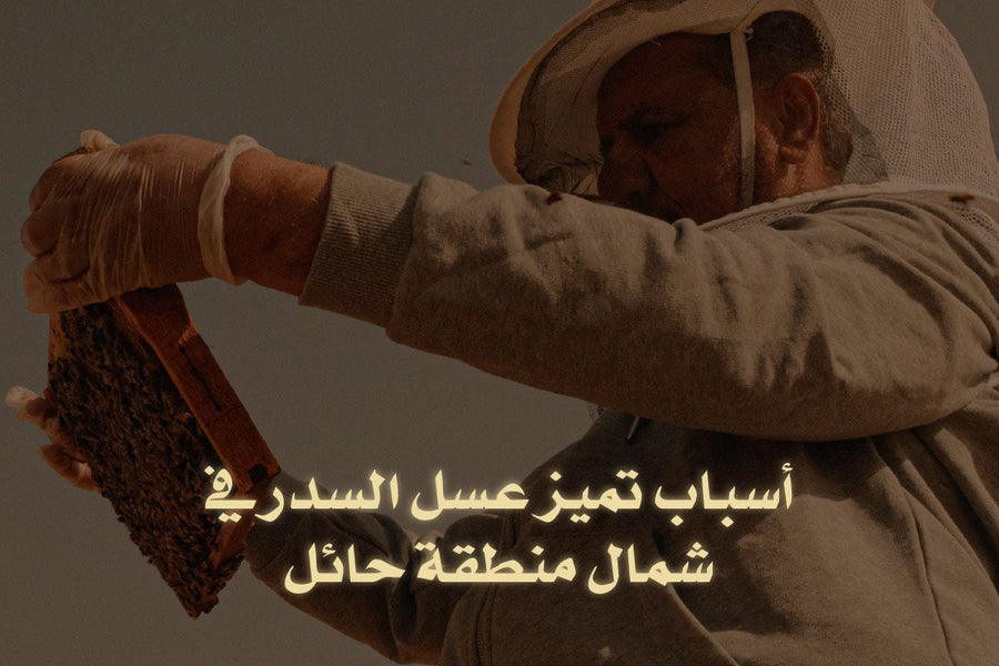 عسل السدر المنتج من شمال منطقة حائل