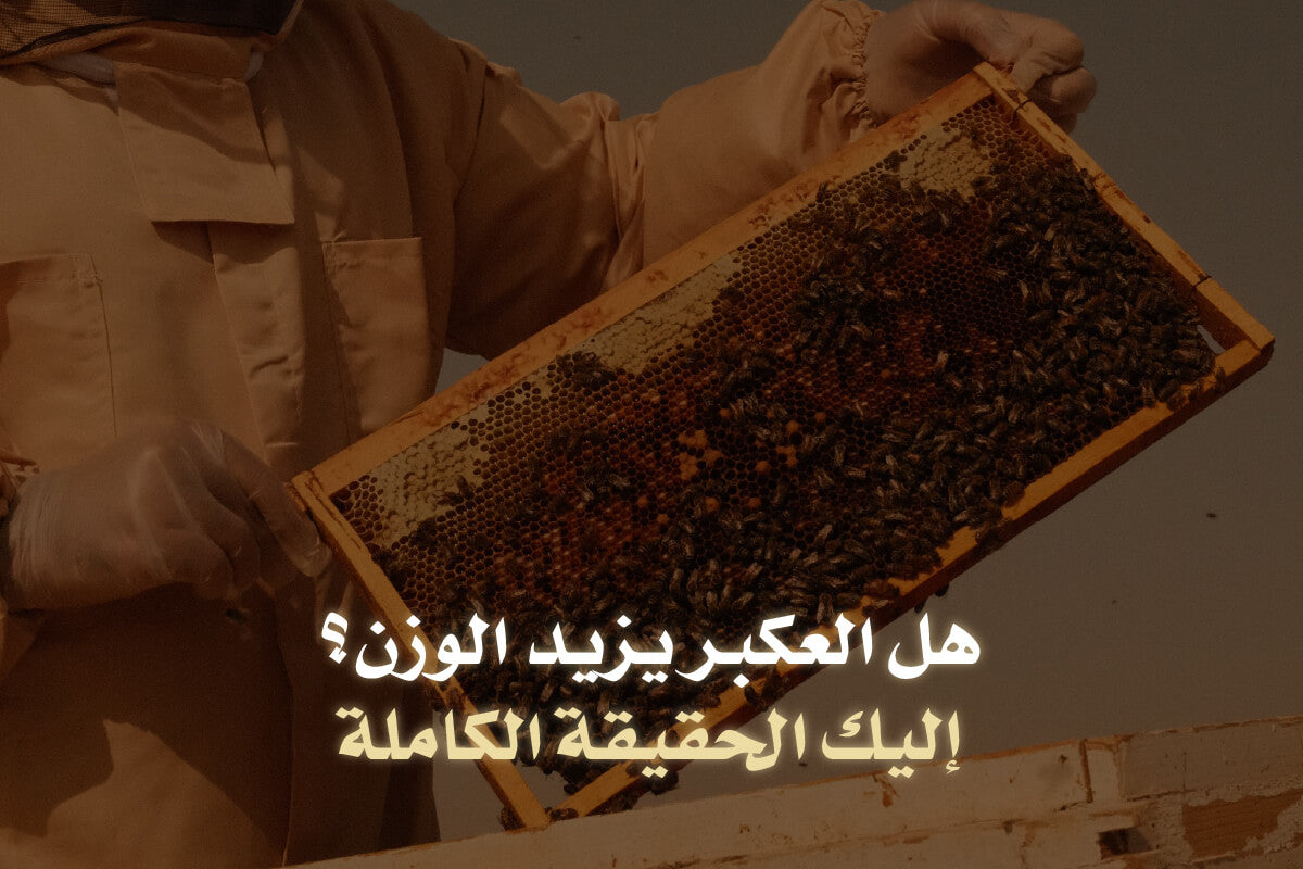 هل العكبر يزيد الوزن؟ إليك الحقيقة الكاملة