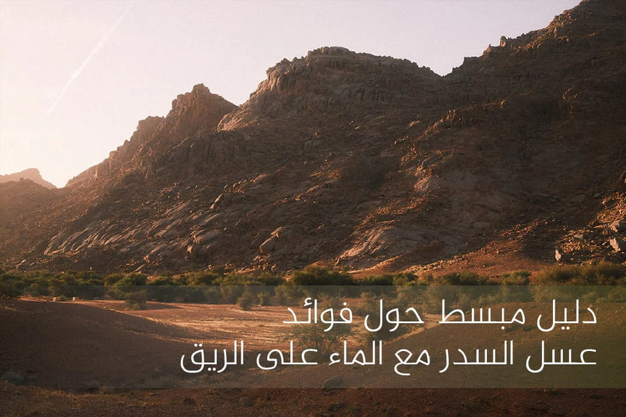 فوائد عسل السدر مع الماء على الريق