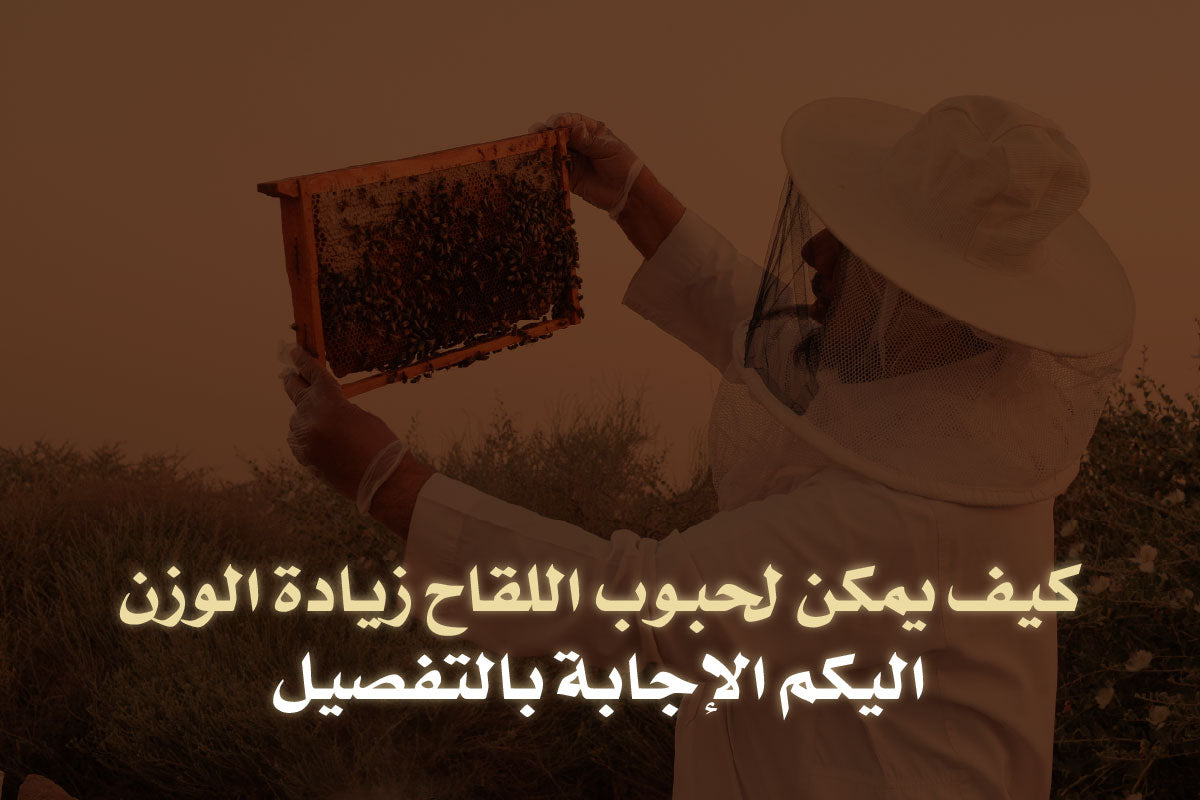 مين جربت حبوب اللقاح للتسمين وزيادة الوزن في أقل من شهر؟