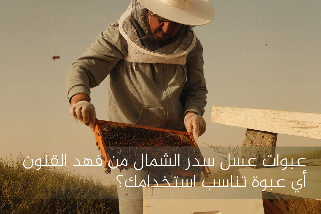 لون عسل سدر الشمال