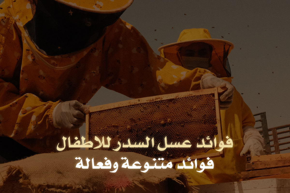 فوائد عسل السدر للاطفال